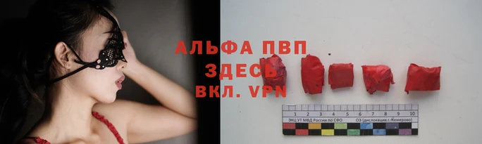 тгк Абаза