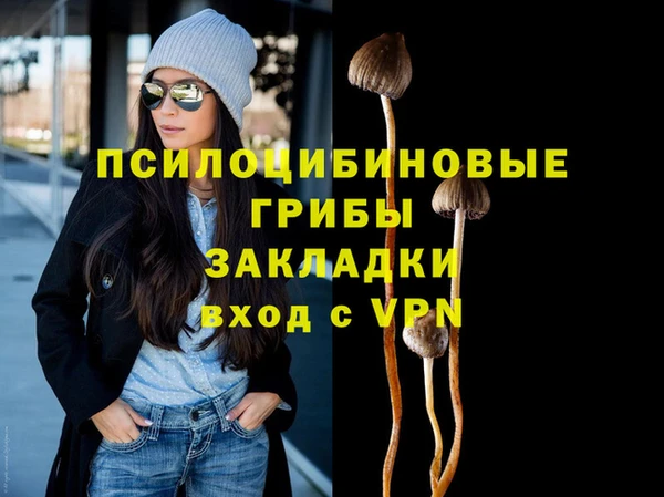 тгк Абаза